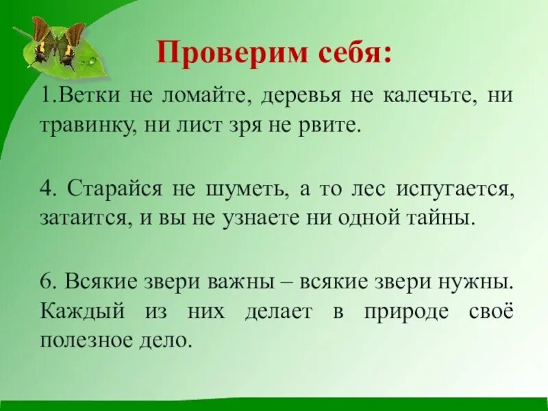 Ни лист. Ни листочка ни травинки. какая ветка не растет на дереве. какая витке не разтет на дереве. берегите природу не ломайте ветви деревьев не рвите листья зря.