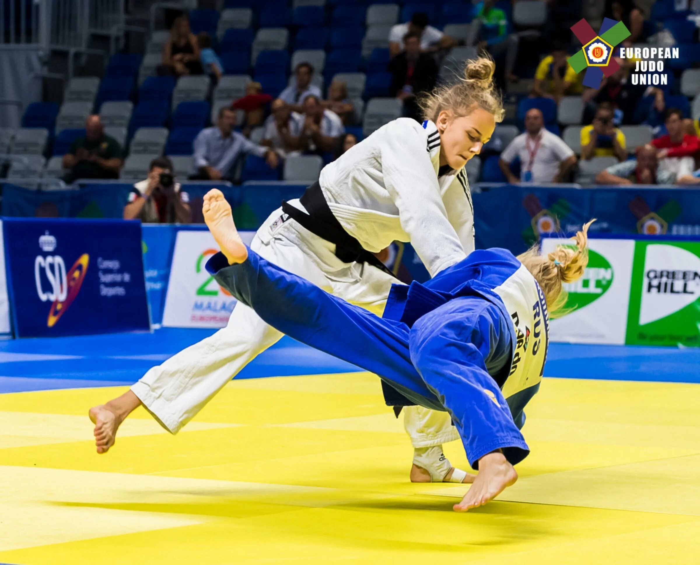 Билодид дзюдо. Белодед дзюдо. Чемпионки по дзюдо