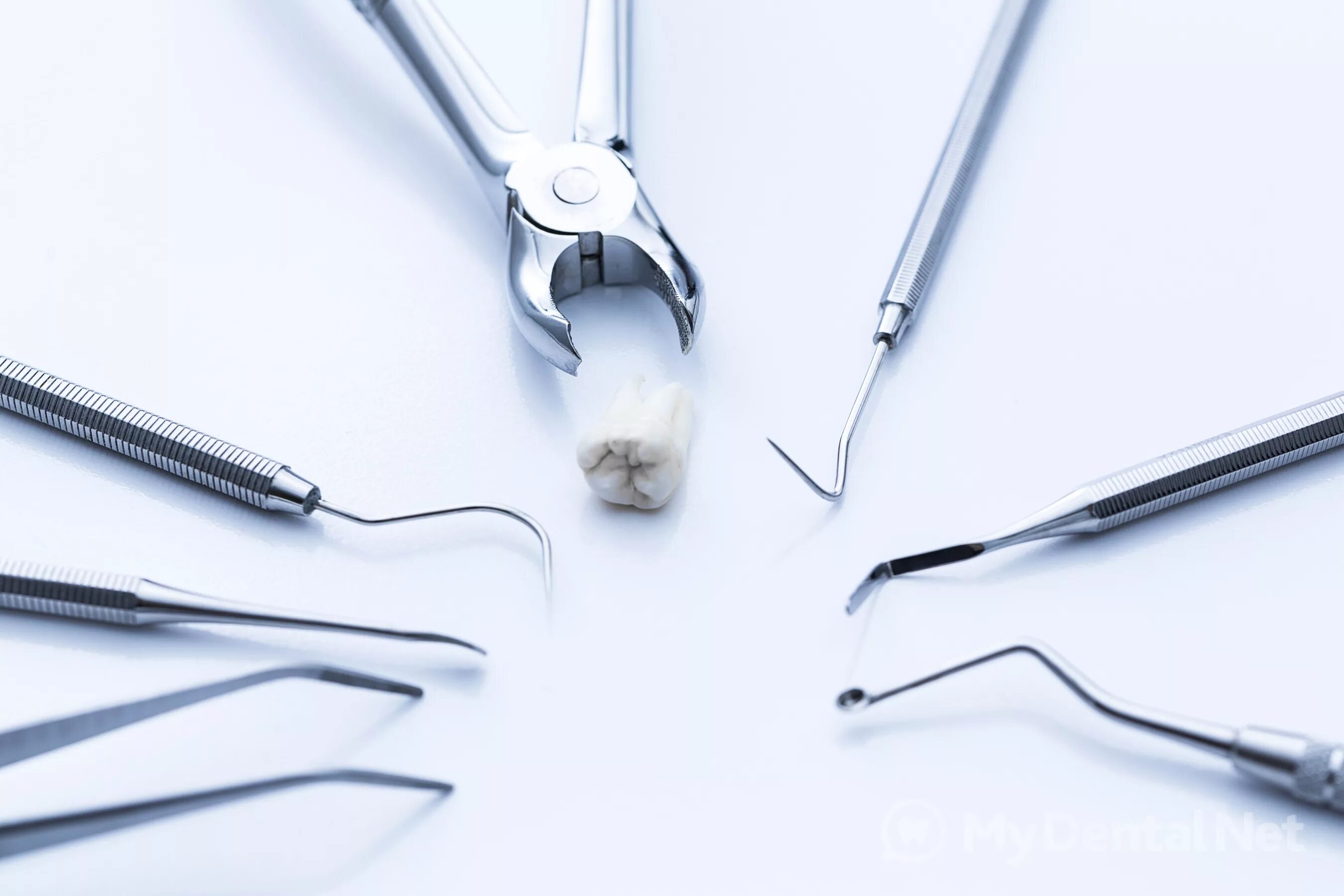 Стоматолог и пациент. Стоматология картинки. Стоматология картинки. Удалить зуб в вологде. Удалить зуб в вологде.