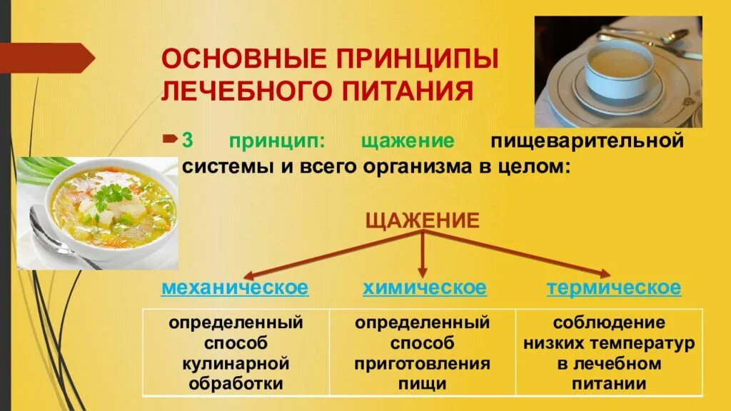 Какие продукты относятся к функциональному питанию. К принципам лечебного питания относятся. .Назовите основные принципы лечебного питания.. Принципы лечебных диет. Основные принципы лечебогопиьания.