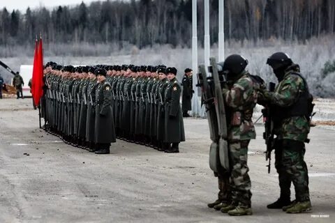 Войска усиления