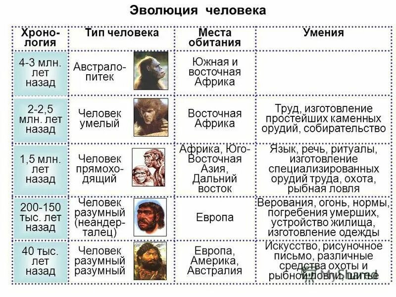 Таблица появление людей