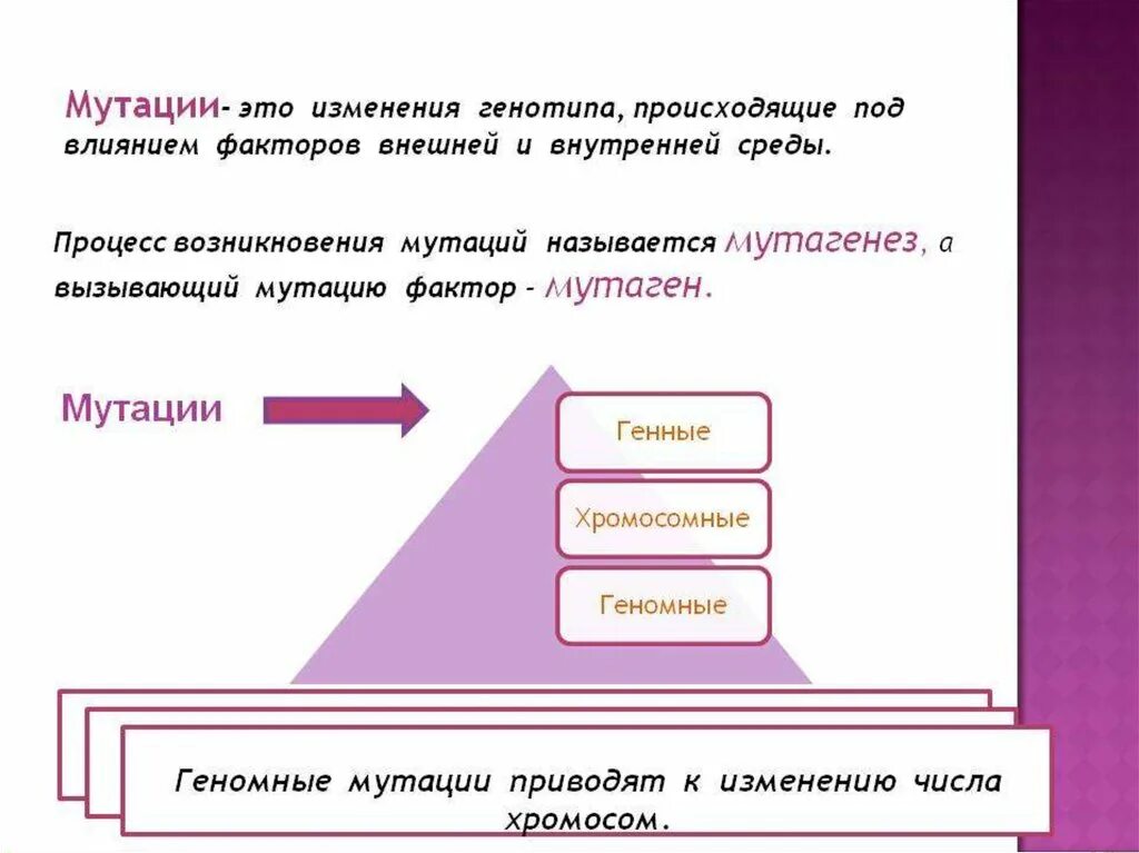 Мутация это изменение генотипа. Мутации возникшие под влиянием внешних факторов называются. Факторы внешней среды вызывающие мутации. Факторы влияния мутации.