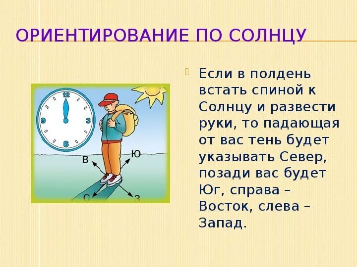 На какой стороне горизонта встает солнце. В полдень встать спиной к солнцу. Ориентирование по солнцу спиной к солнцу. Если в полдень встать спиной к солнцу то будет. Стороны горизонта.