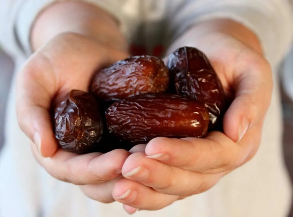 Dates picture. Финики меджул. Финики Аджва дерево. Большие финики. Феники.