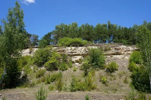 Гжельский стратотип