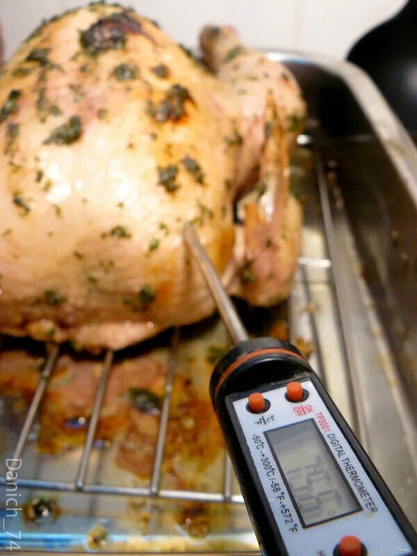 Курица в духовке целиком температура и время. Готовность курицы в духовке. Курица в духовке с термощупом. Приготовление курицы с термощупом.