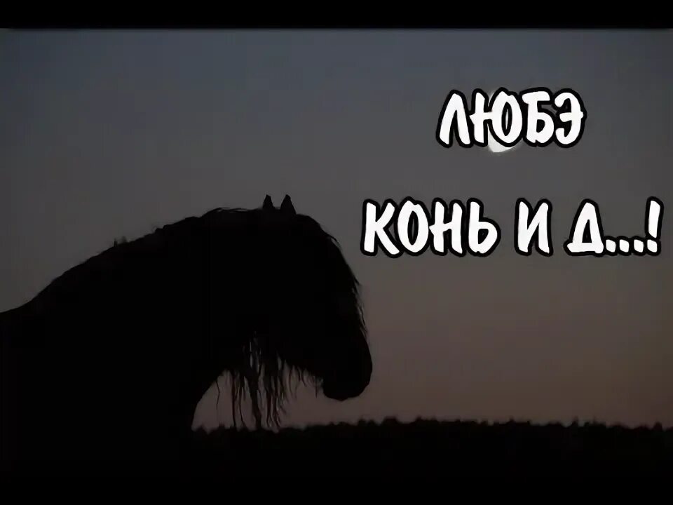 Любэ конь хор. Любэ конь. Конь Любэ картинки. Конь Любэ обложка.