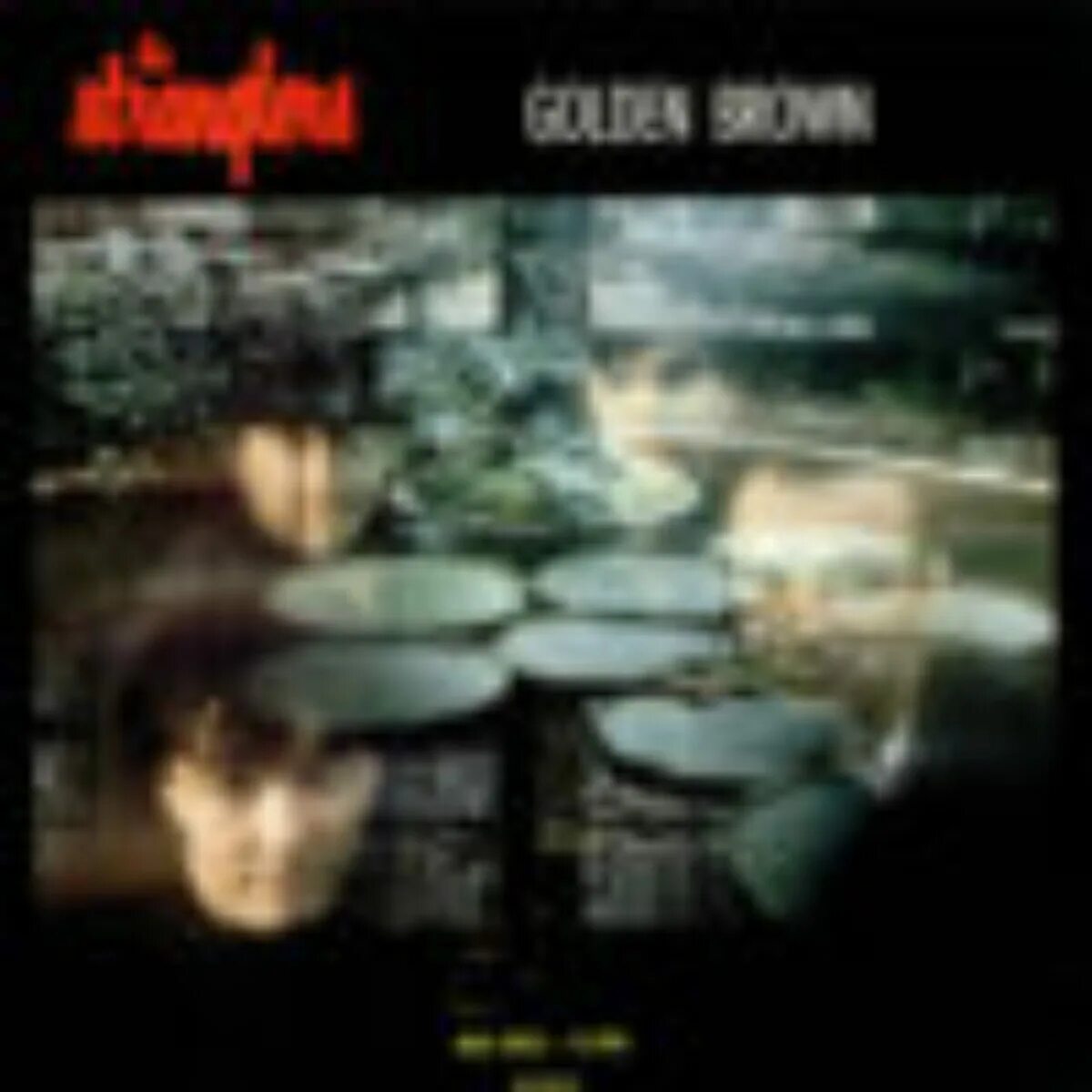 The stranglers golden brown ноты. Golden brown lyrics. The stranglers-golden brown на гитаре аккорды. Golden brown текст. The stranglers-golden brown на гитаре аккорды.