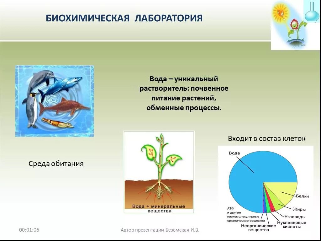Роль воды в жизни растений. Роль воды в почвенном питании растений. Биохимические процессы в растениях. Биохимическая вода.