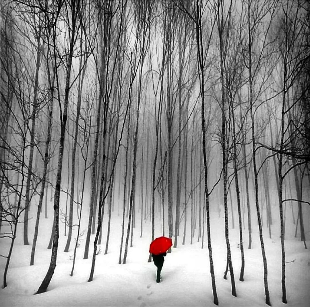 Серо красная картинка. Зима одиночество. Печальная зима. Одиночество зимой. Зима грусть.