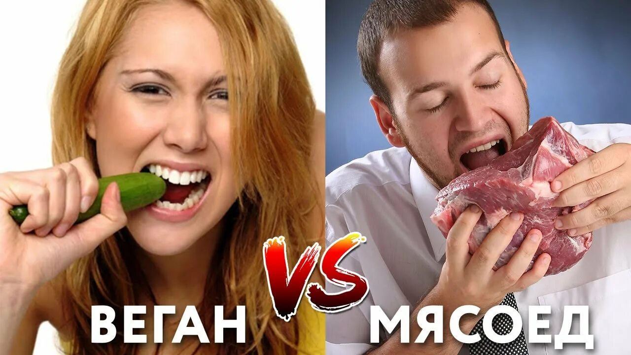 Мясоеды против вегетарианцев. Вегетарианство vs мясоедение. Вегетерианки еротив мясоедок. Веганы против Мясоедов. Веганы едят мясо