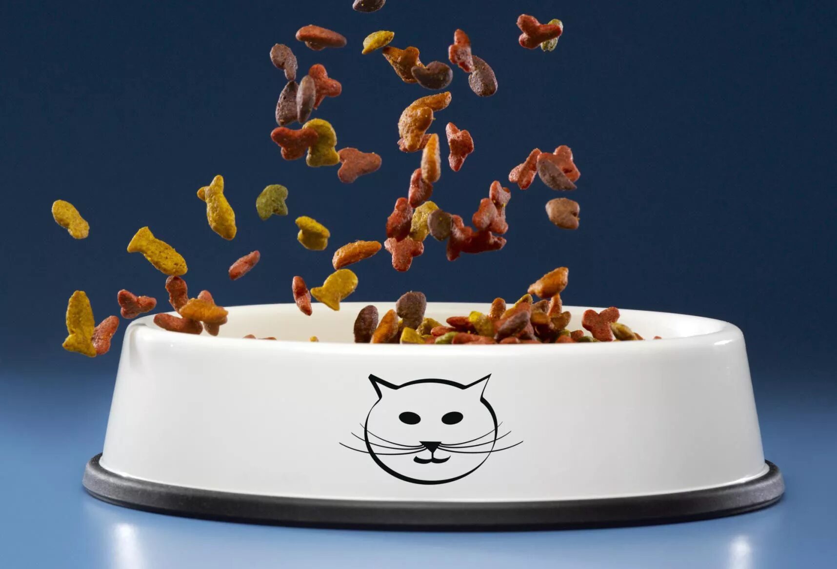 Корм еда. Кошачий корм. кошачья миска с едой. миска с едой для кота. кошачий корм в миске.