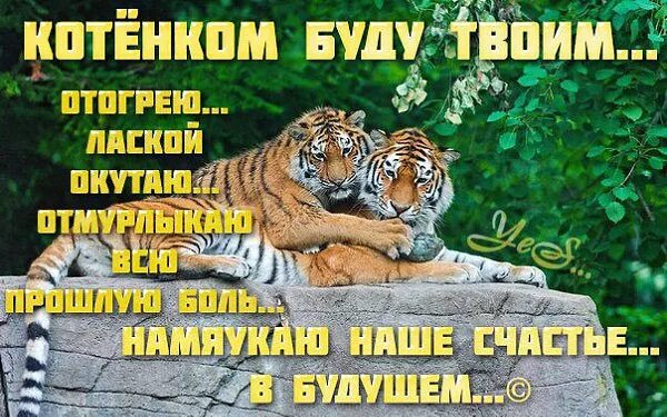 Не скучай увидимся. Картинки не скучай скоро увидимся. открытка не скучай скоро увидимся. открытка не скучай скоро увидимся женщине. картинки скоро увидимся любимая.