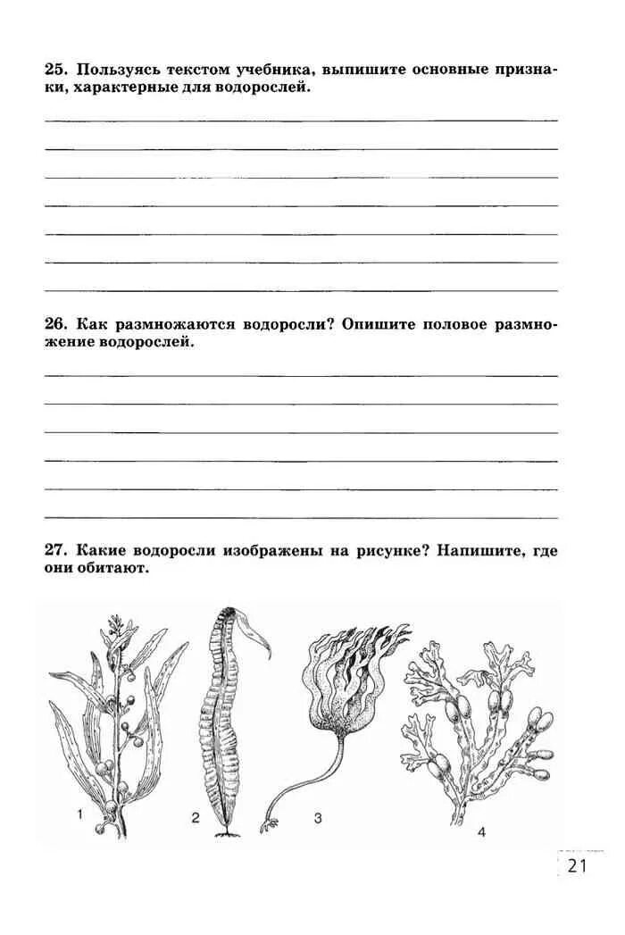 Контрольная водоросли. Биология 5 класс рабочая тетрадь Сонин водоросли. Биология 7 класс рабочая тетрадь Сонин. Водоросли 5 класс биология рабочая тетрадь. Рабочая тетрадь по биологии многообразие водорослей.