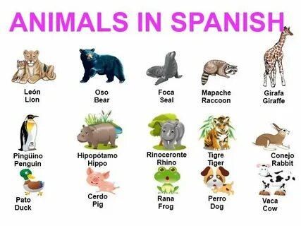 Animal articles