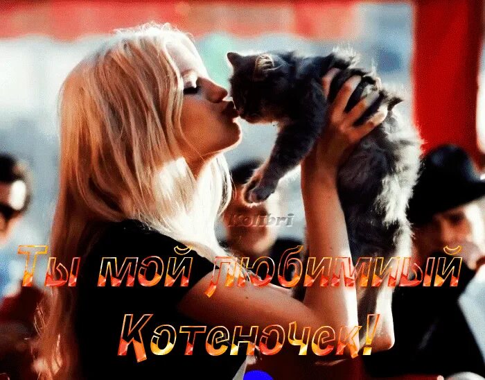 У меня есть любимая кошка. Мой котик самый лучший и любимый. люблю тебя мой сладкий котеночек. любимому мужчине котику. гифы ты самый лучший у меня.