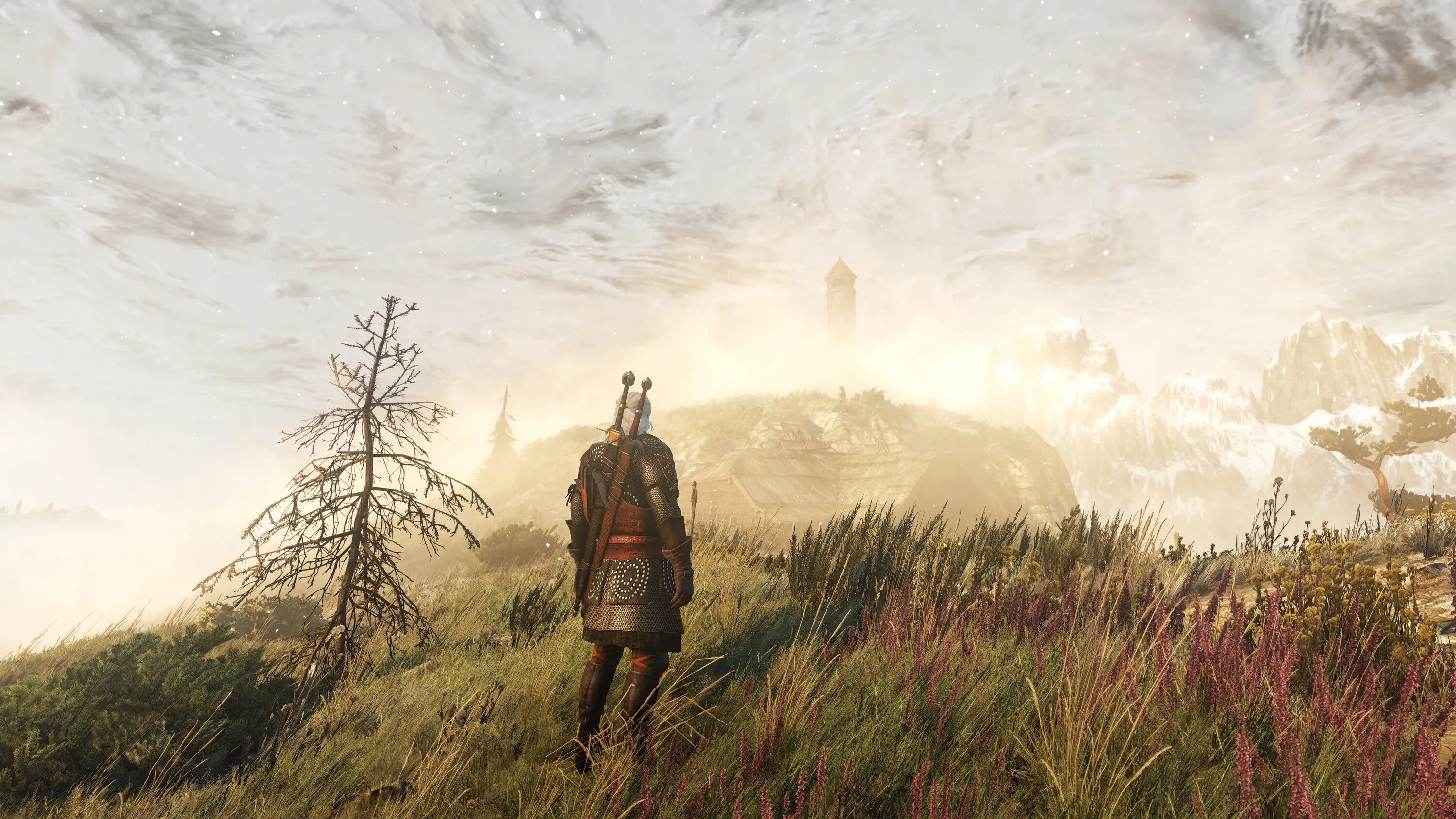 Witcher redux