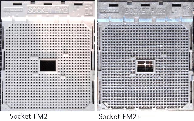 Сокет amd 2. Процессор АМД Socket fm2. Socket fm2 и сокет am4. Socket fm 2 Plus. Процессор fm2+ /fm2.