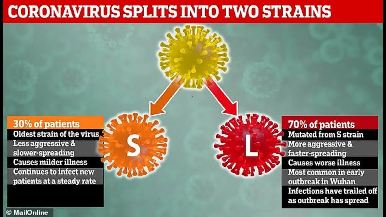 L virus