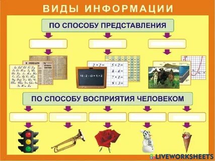 Наглядная информация называется