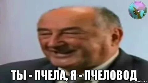 Ты пчела я