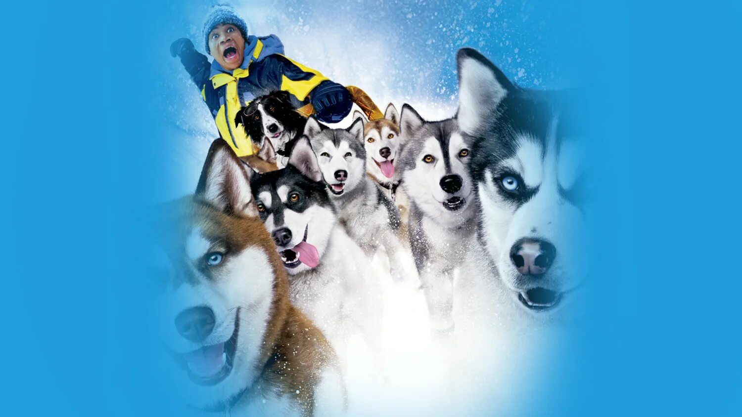 Снежные псы демон. Снежные псы (2002). Русская аляска хаски. Снежные псы (2002). Снежные псы демон.