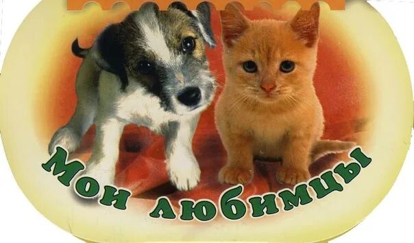 Картинка мое любимое животное Моë любимое животное: найдено 88 изображений
