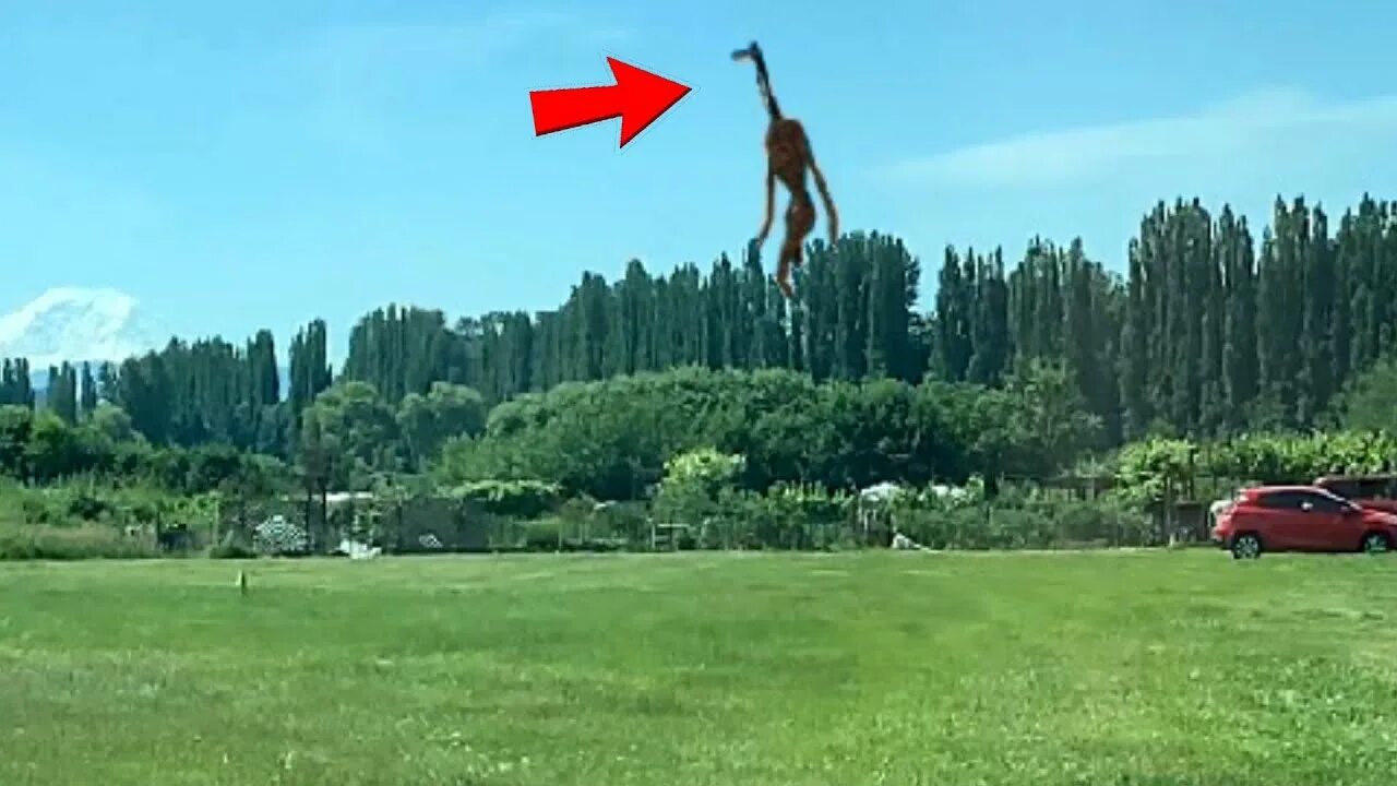 Пять снятых