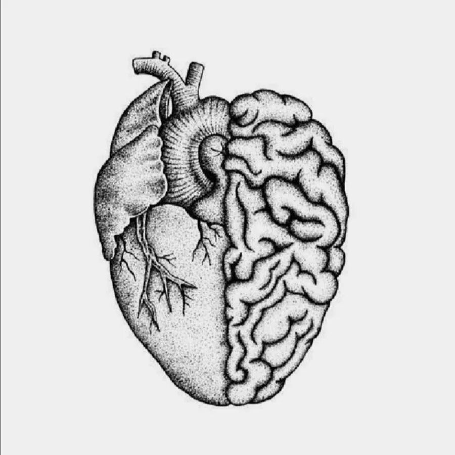 Heart and brain. Сердце тату эскиз. Тату мозг и сердце. Мозг эскиз тату.