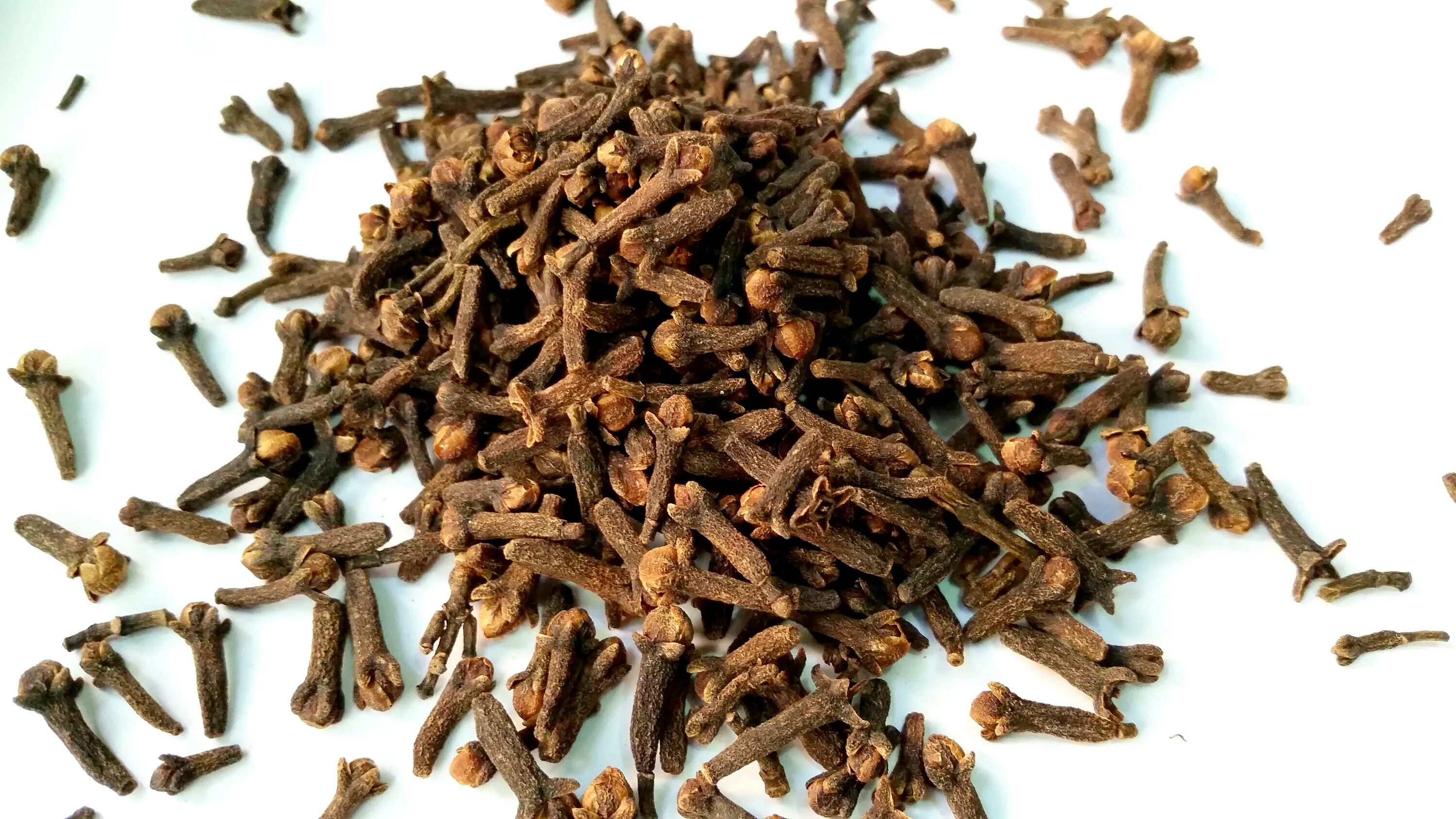 Цветы гвоздики приправа. Гвоздика специя. Гвоздика приправа. Пряность гвоздика целая. Гвоздика специя горячая.