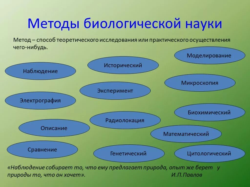 В какой науке используется наблюдение. Методы биологии. Методы изучения биологии. Методы науки биологии. Способы исследования в биологии.