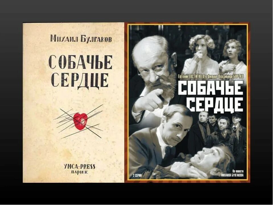 Булгаков собачье сердце. Поэма собачье сердце. Булгаков собачье сердце 1924-1928. Анализ рассказа собачье сердце. М.