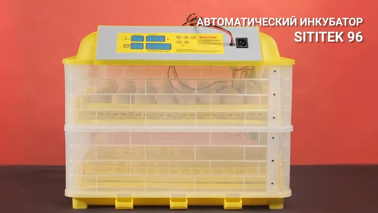 Инкубатор работа. Инкубатор автоматический sititek 96. инкубатор автоматический &quot;sititek 128&quot;. инкубатор сититек 48. автоматический инкубатор на 41 куриное яйцо &quot;sititek 40&quot;.