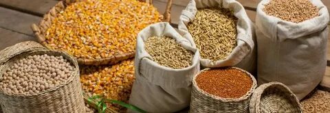 Комбикорма для сельскохозяйственных животных