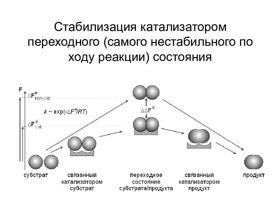 Катализ ферментов. Переходное состояние реакции. Стабилизаторы ферментов. Теория переходных состояний фермента. Стабилизация.