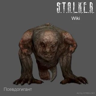 Пси сталкрафт
