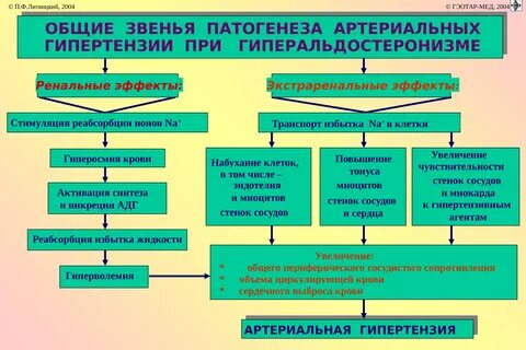 Артериальная гипертензия патогенез