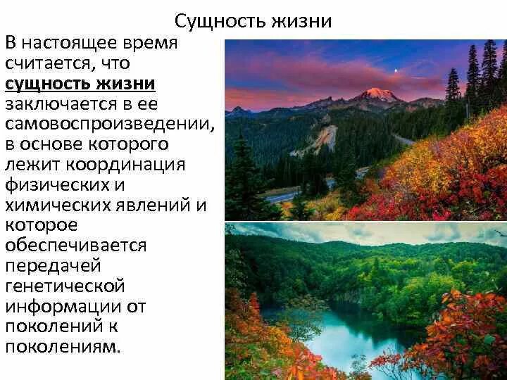 Сущность жизни. Сущность жизни биология. Определение сущности жизни. Определение сущности жизни в биологии.