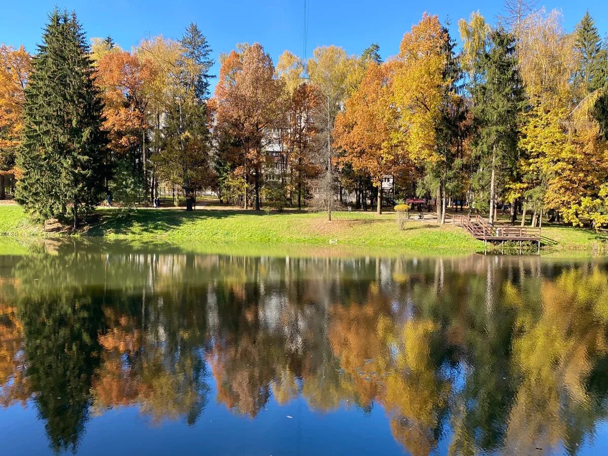 Лес власиха. Власиха озера. Власиха парк. Лес власиха. Лес власиха.