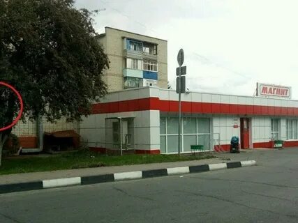 Губкина 8