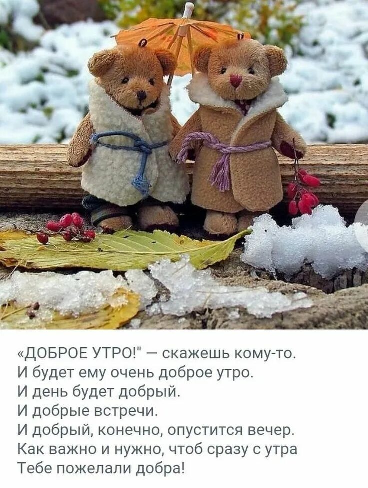 Цитаты с добрым зимним утром. Доброе утро цитаты. позитивные цитаты про утро. позитивные фразы с добрым утром. позитивные цитаты с добрым утром.