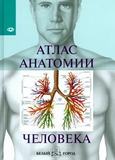 Лучший атлас по анатомии человека