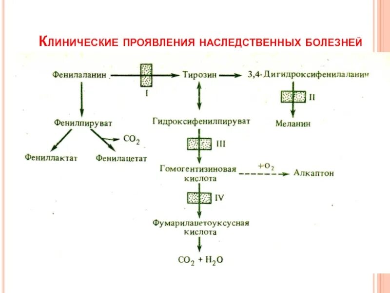Клинические признаки наследственных заболеваний. Особенности наследственных болезней. Клинические проявления наследственного заболевания. Вторичные митохондриальные заболевания. Особенности клинических проявлений наследственных болезней.