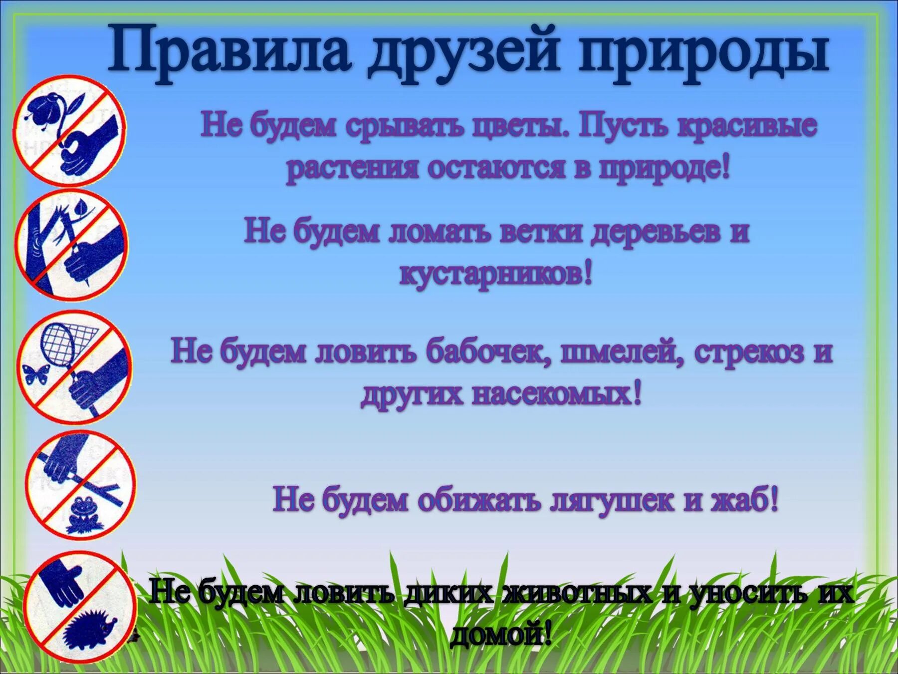 Правила поведения на природе. Правила поведения на приро. Памятка поведения на природе. Правила поведения на природе для детей. Правила про природу