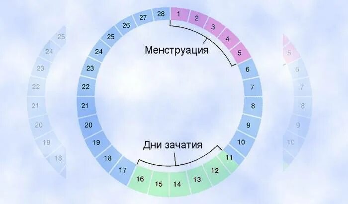 Дни менструального цикла. Безопасные для зачатия дни цикла. Месячные безопасные дни. Менструальный цикл безопасные дни.