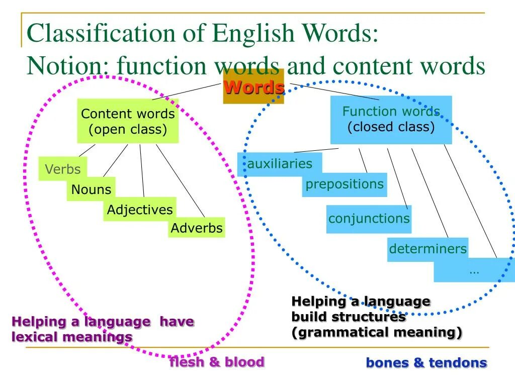 Content english. Classification of Words. Function Words в английском. Content Words в английском. Classification of English Words.Groups of English Words.