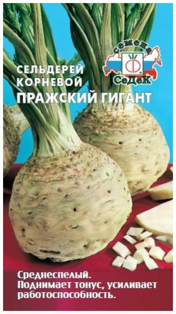 сельдерей корневой. сельдерей корневой пражский гигант 0,5г 480177. сельдерей нежный сиб сад описание. сельдерей корневой пражский гигант. сельдерей парижский гигант.