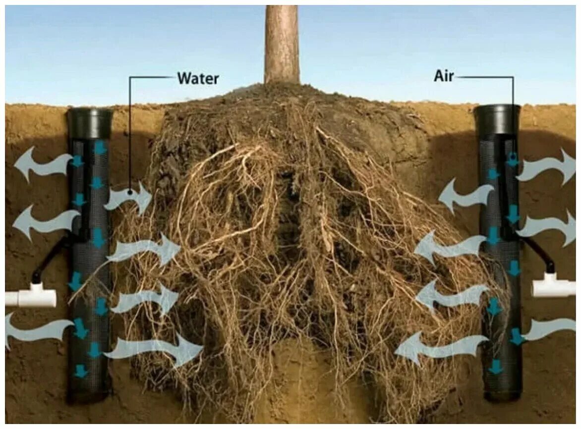 капельное орошение плодовых деревьев. полив грядок из пвх труб. Masterprof капельный полив. корневой полив. корневой полив.