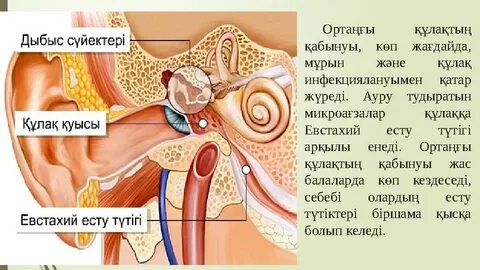 Жеке жыныстық кастинг